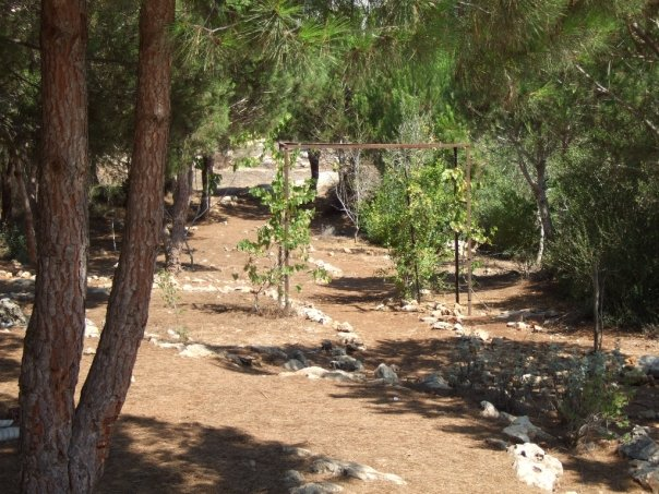 "בוסתן בראשית" בטל מנשה. צילום: באדיבות הישוב.