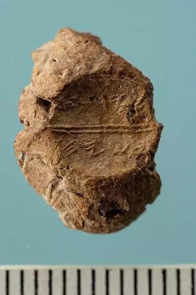 הבולה שנמצאה בסינון העפר. צילום: צחי דבירה.