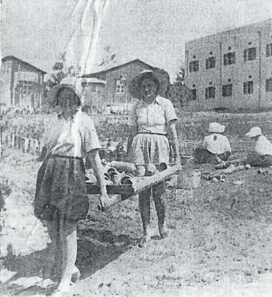 במכנסיים קצרים עובדות חלוצות יהודיות צעירות.