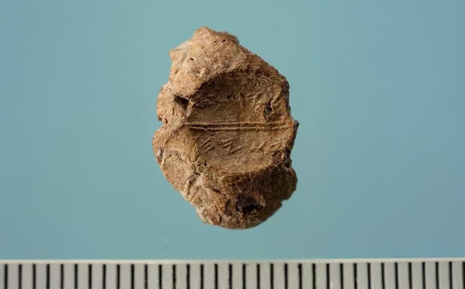 הבולה שנמצאה בסינון העפר. צילום: צחי דבירה.