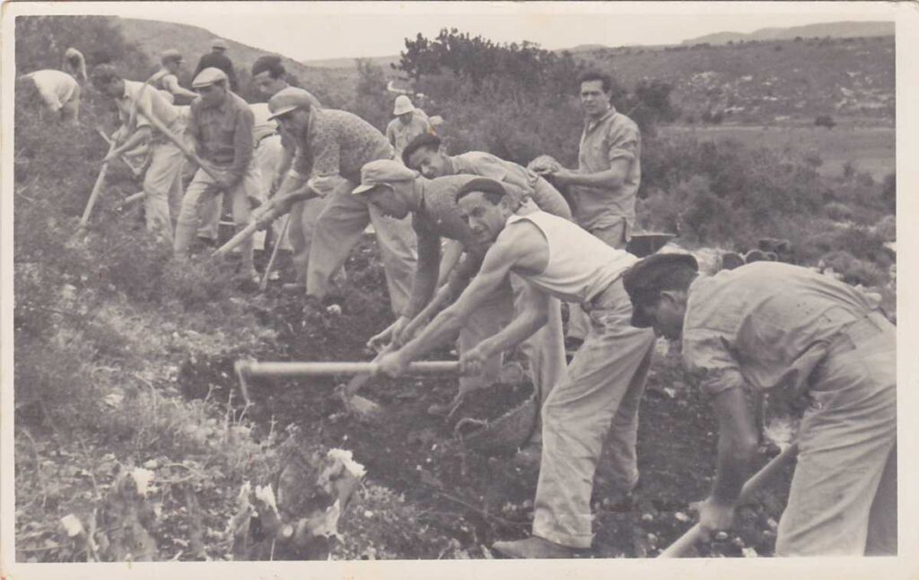 חלוצים בחניתה. צילום: האתר הרשמי של חניתה.