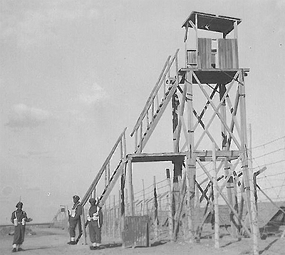 שבויי מלחמה גרמנים במצרים. צילום: לא ידוע.